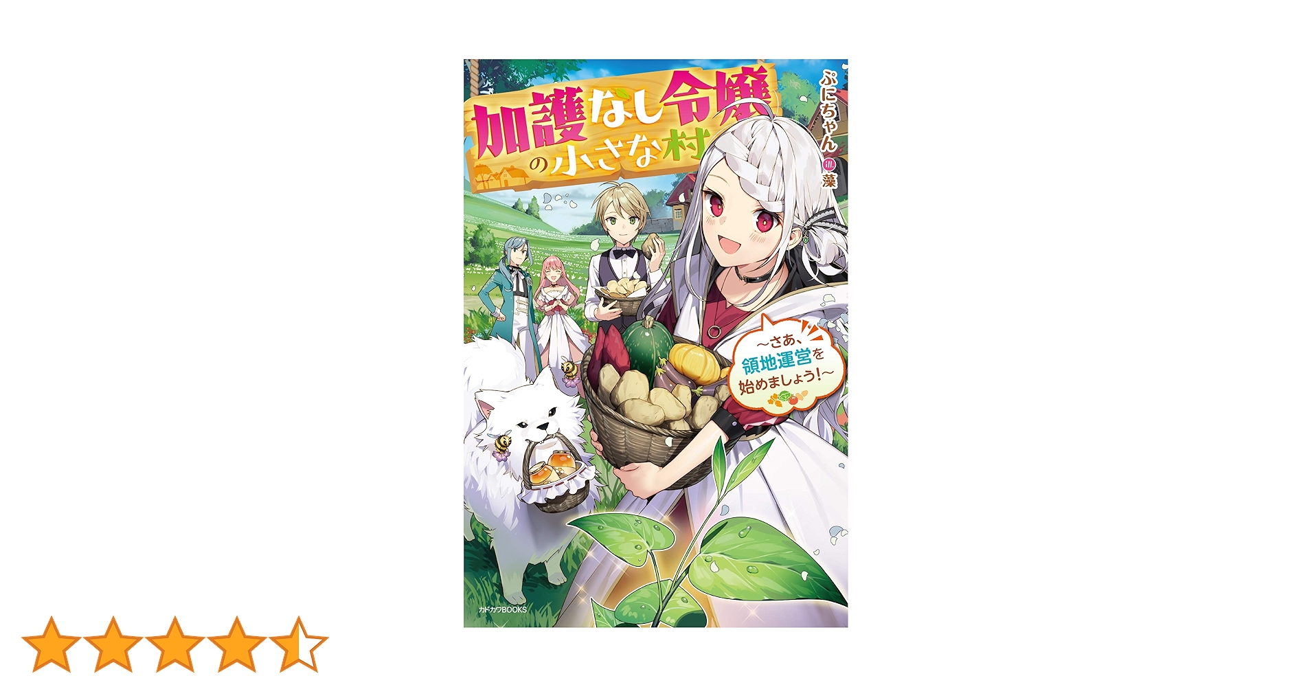 Amazon.co.jp: 加護なし令嬢の小さな村 ~さあ、領地運営を始めま
